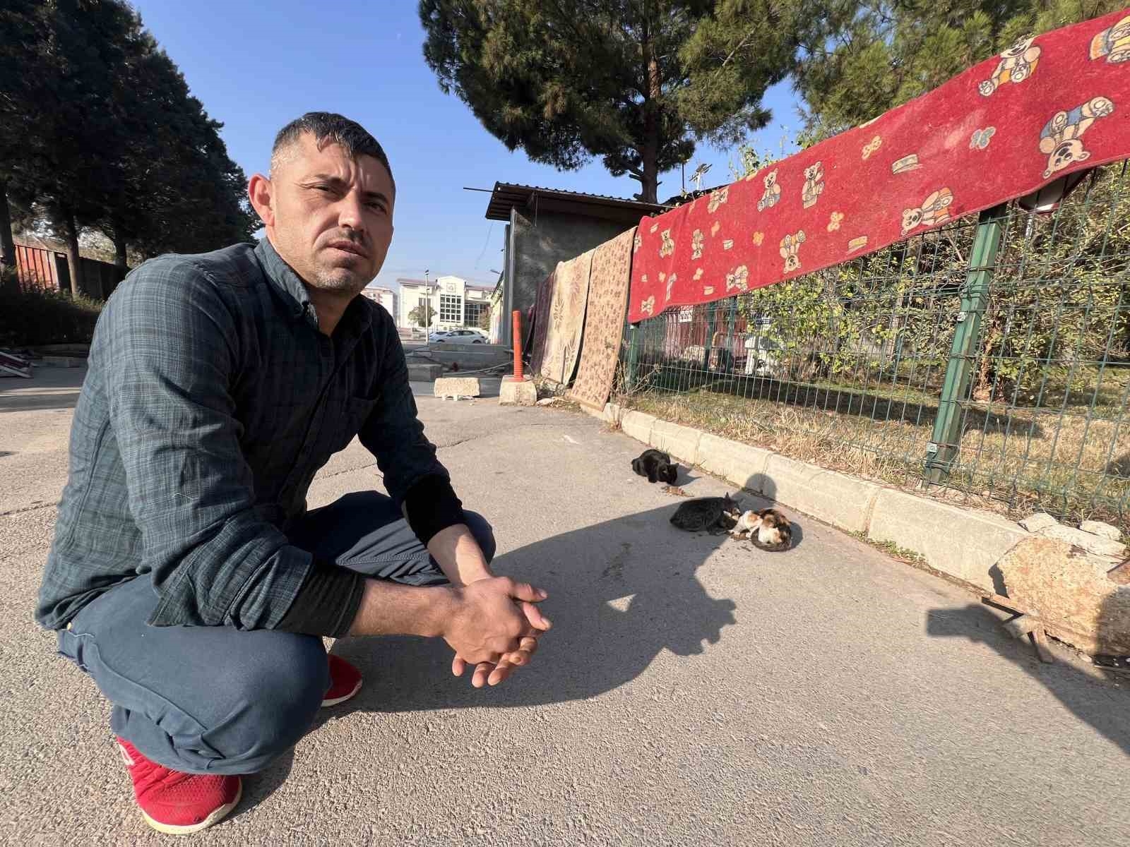 'Enkaz' isimli kedileri enkaz bölgesinde besliyor