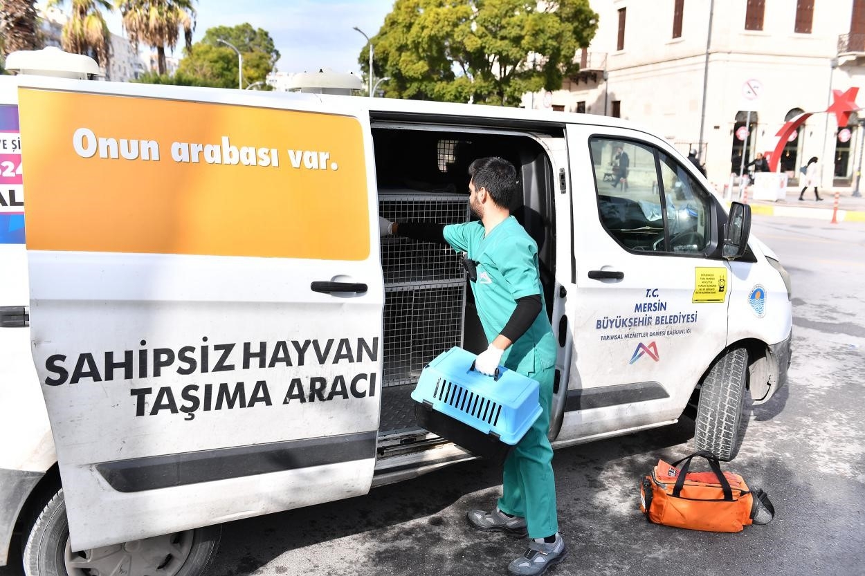 Kaşlı Bakımevi binlerce "Can Dostun" yaşamına dokundu