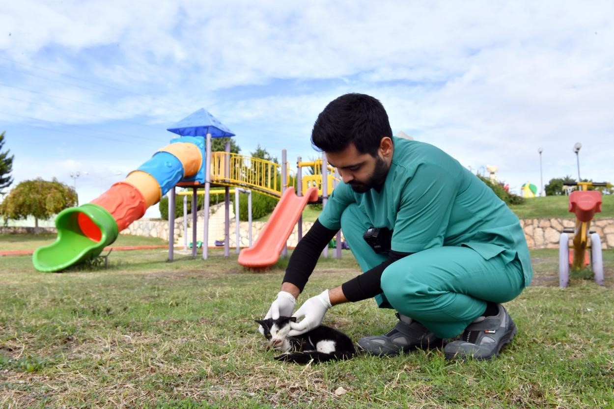 Kaşlı Bakımevi binlerce "Can Dostun" yaşamına dokundu