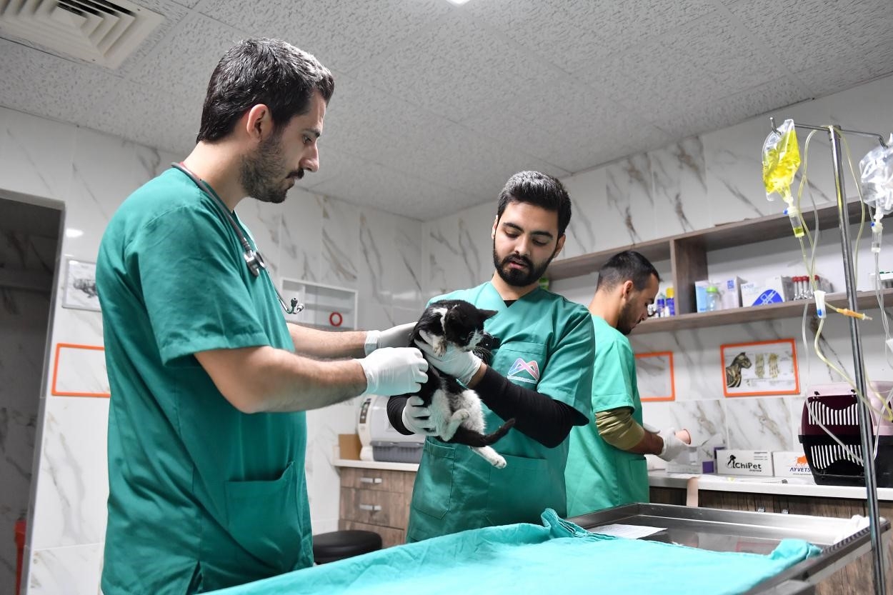 Kaşlı Bakımevi binlerce "Can Dostun" yaşamına dokundu