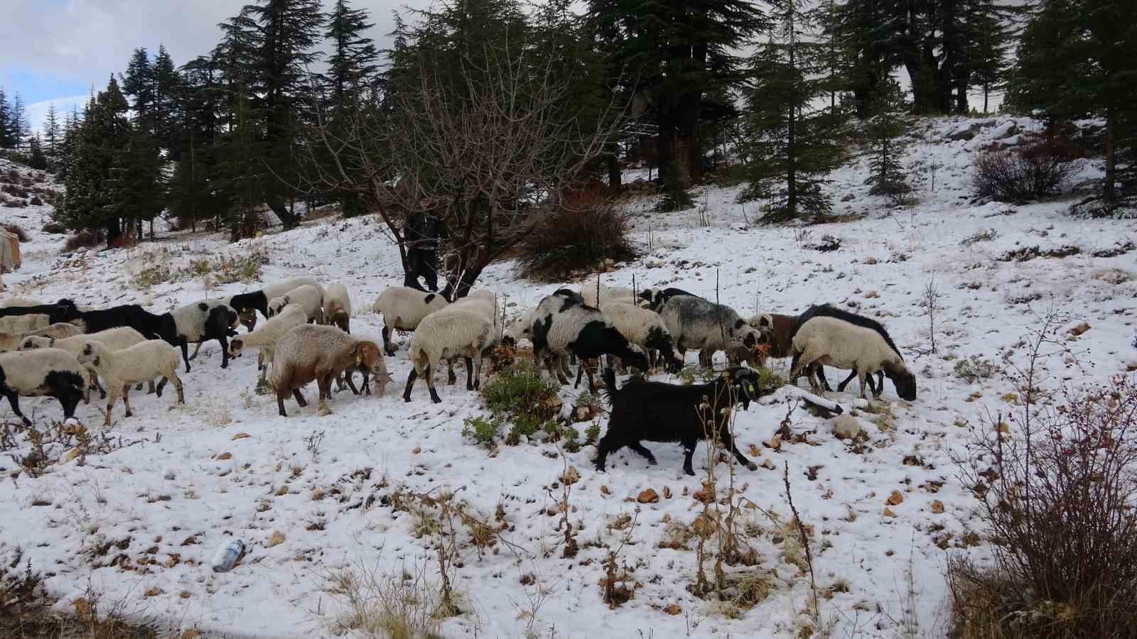 Mevsimin ilk karı yağdı, Yörükler göçe başladı