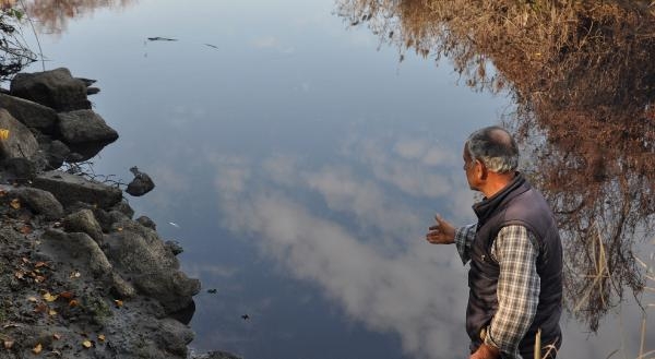 Rengi siyaha dönen ve balık ölümleri yaşanan Karasu Çayı'nde inceleme