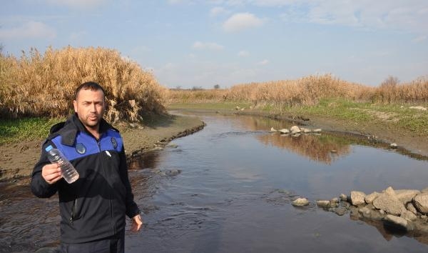 Rengi siyaha dönen ve balık ölümleri yaşanan Karasu Çayı'nde inceleme