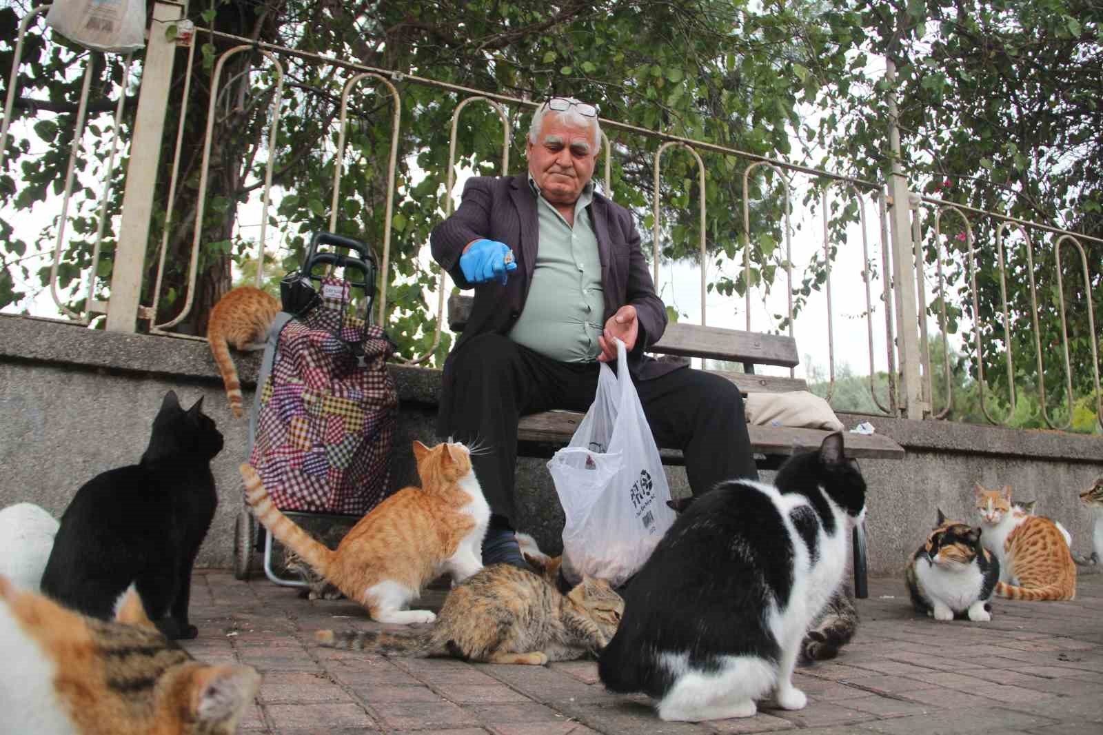 Sokak kedilerinin 'Kedici babası'