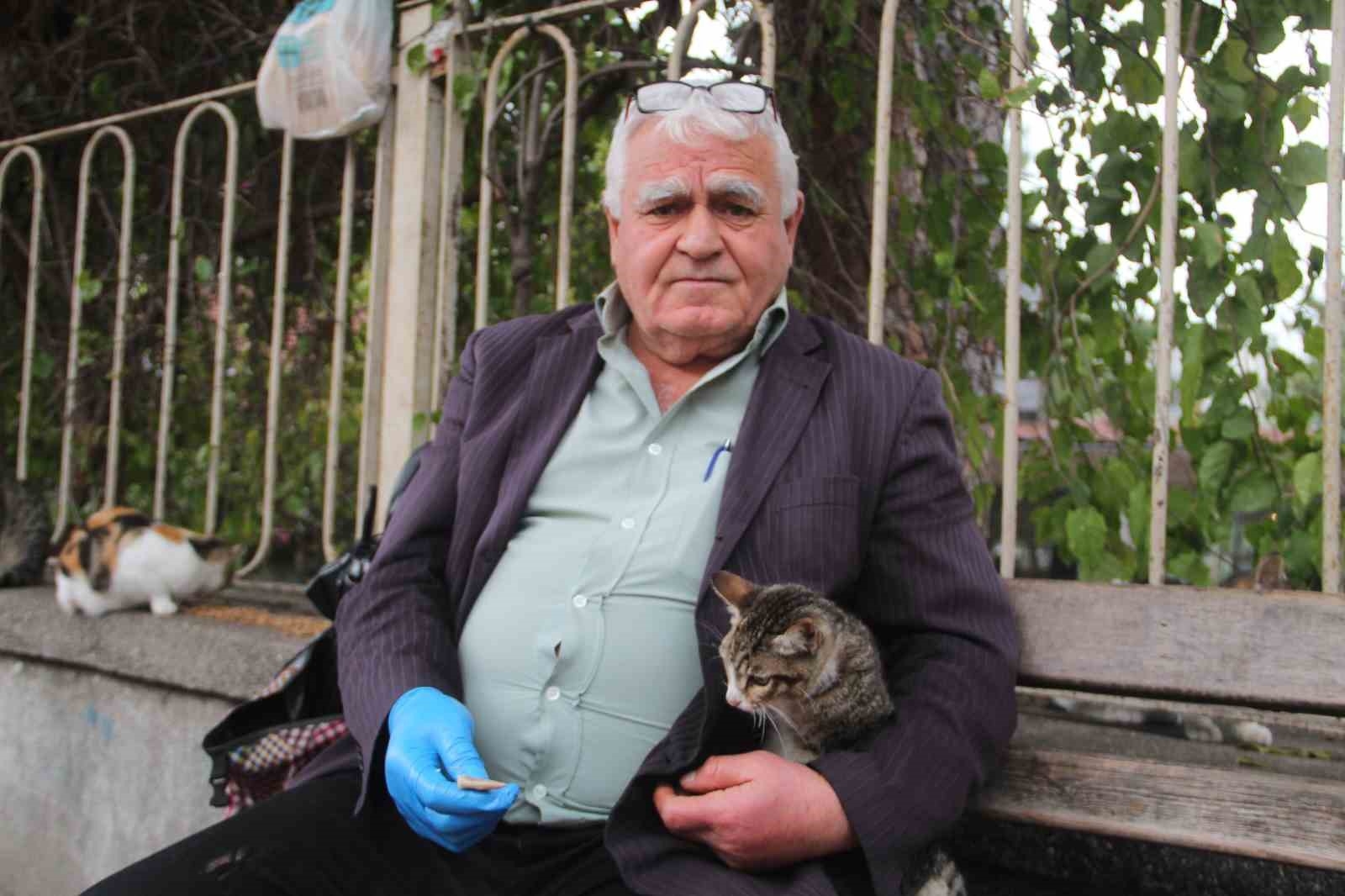 Sokak kedilerinin 'Kedici babası'