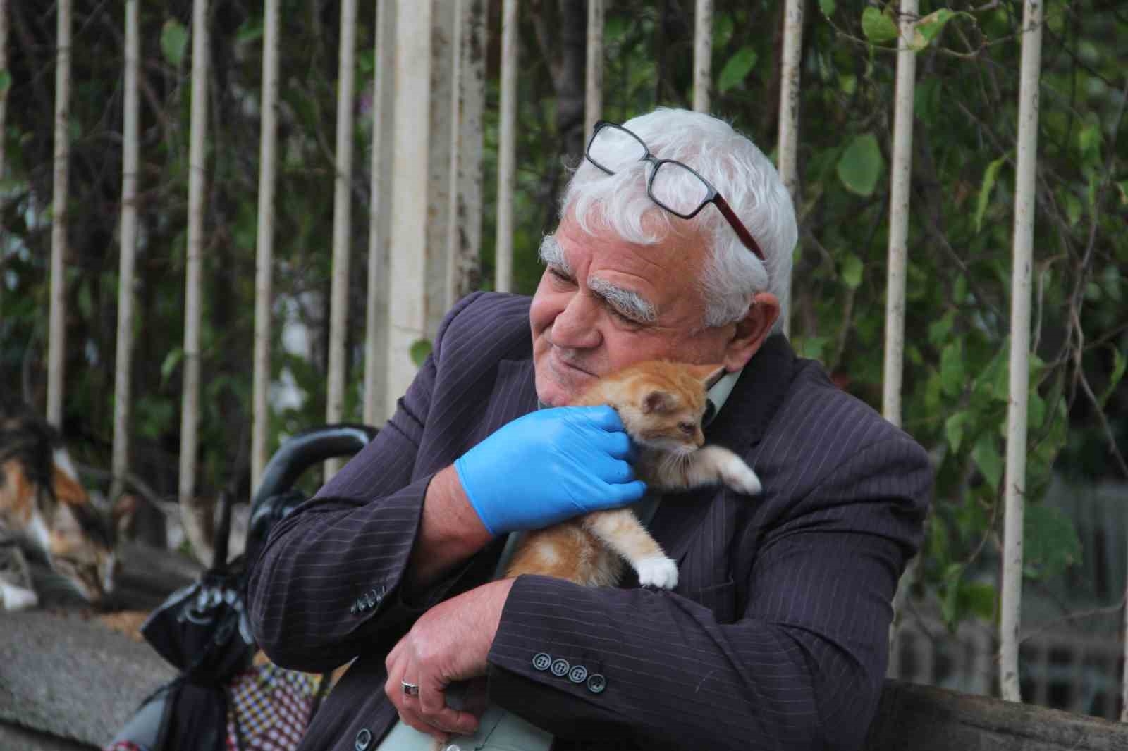 Sokak kedilerinin 'Kedici babası'
