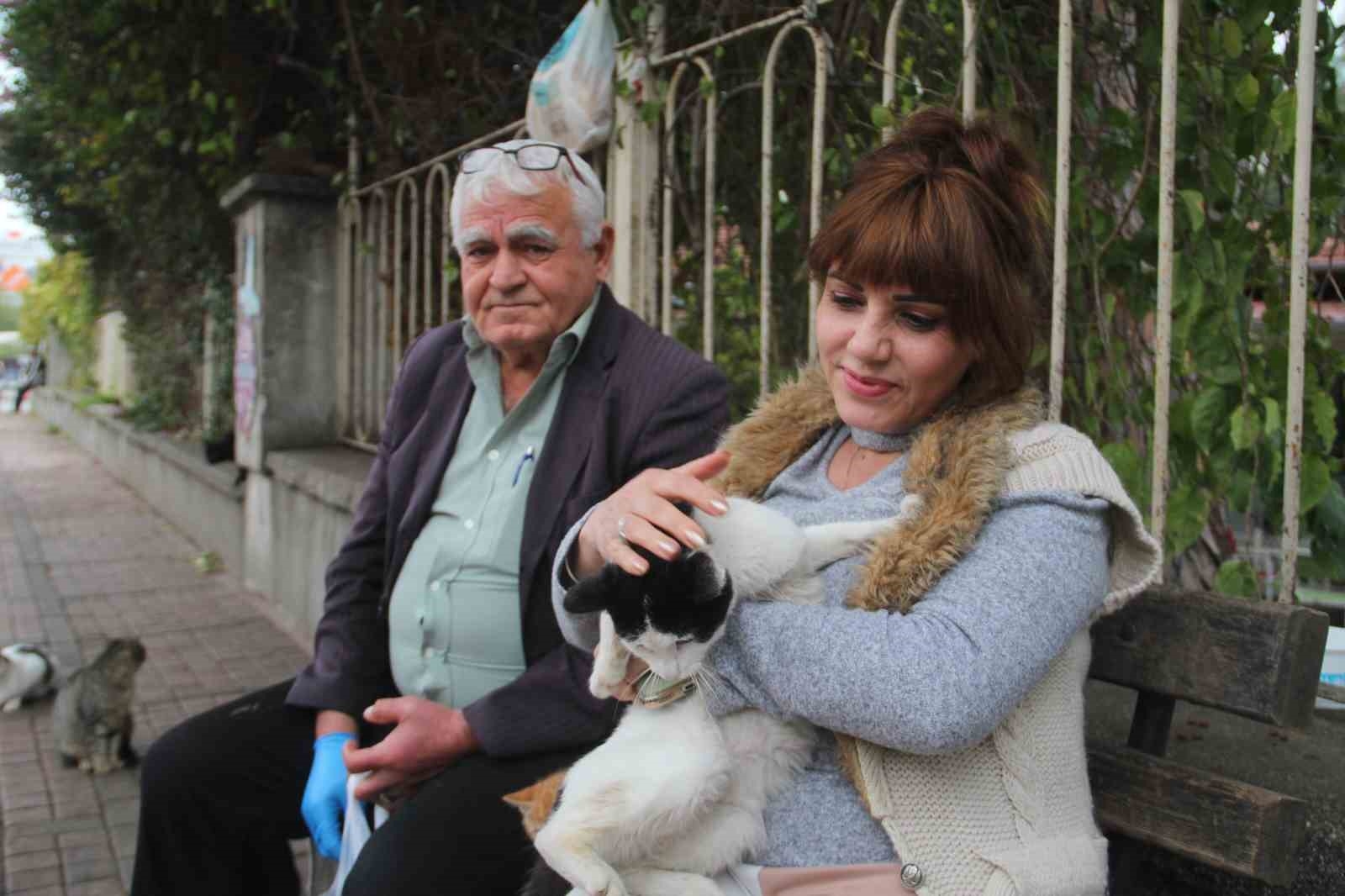 Sokak kedilerinin 'Kedici babası'