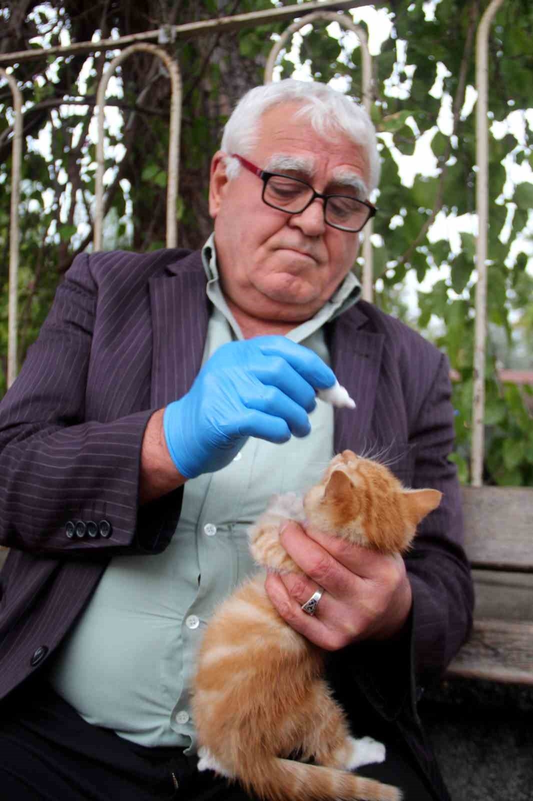 Sokak kedilerinin 'Kedici babası'