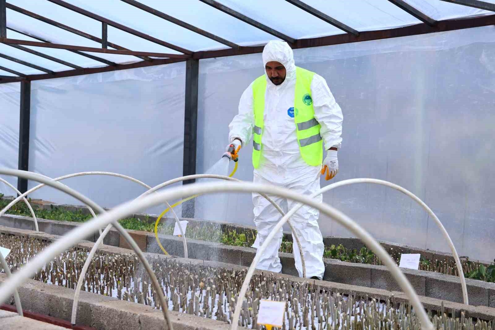 Toroslar Belediyesinden, Cumhuriyetin 100. yılına özel 100 bin bitki üretimi