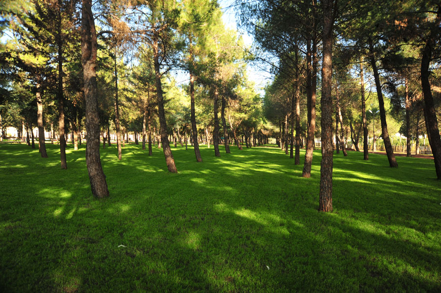 Keşfedilmeyi bekleyen yer: Dokuma Park