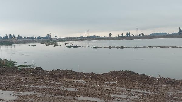 Asi Nehri yağışla taştı; tarım arazileri su altında kaldı