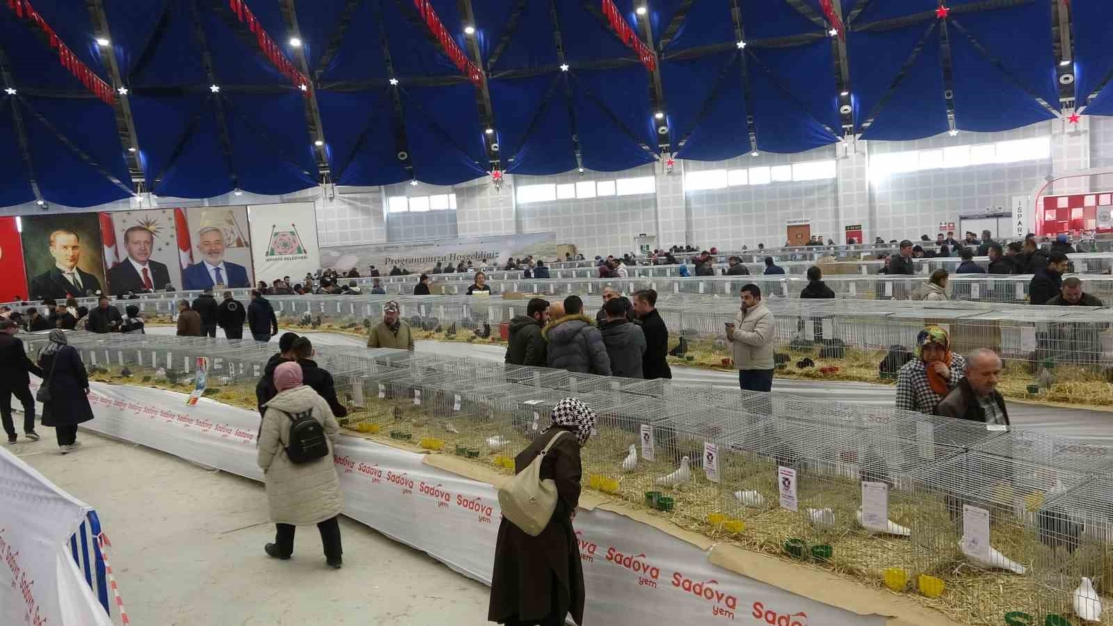 Bin 500'ün üzerinde süs tavuğu ve kanatlı hayvan görücüye çıktı