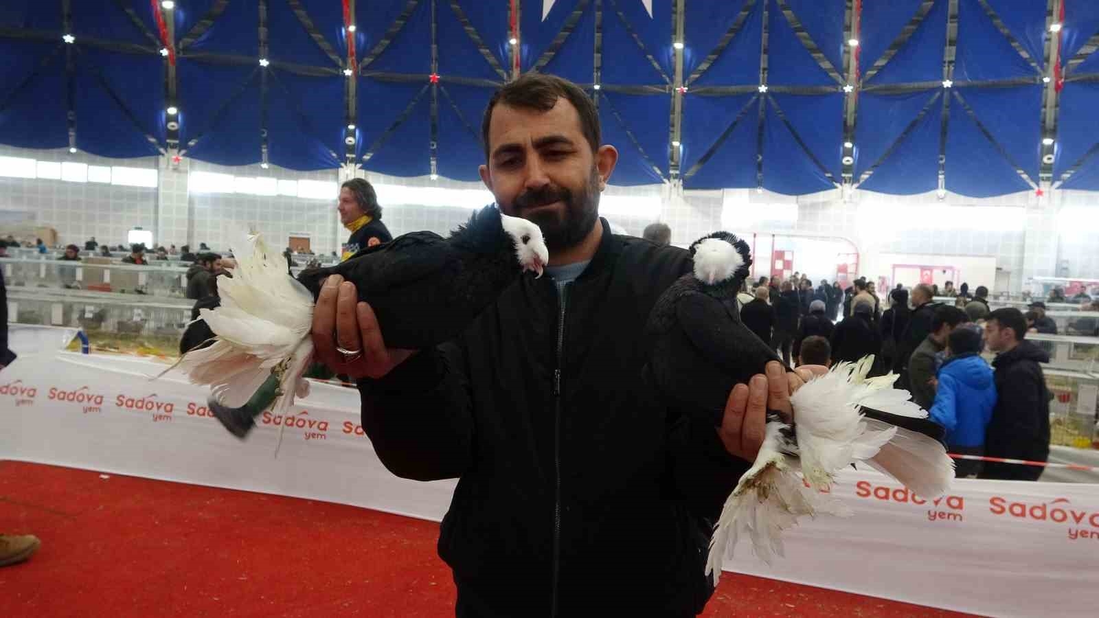 Bin 500'ün üzerinde süs tavuğu ve kanatlı hayvan görücüye çıktı
