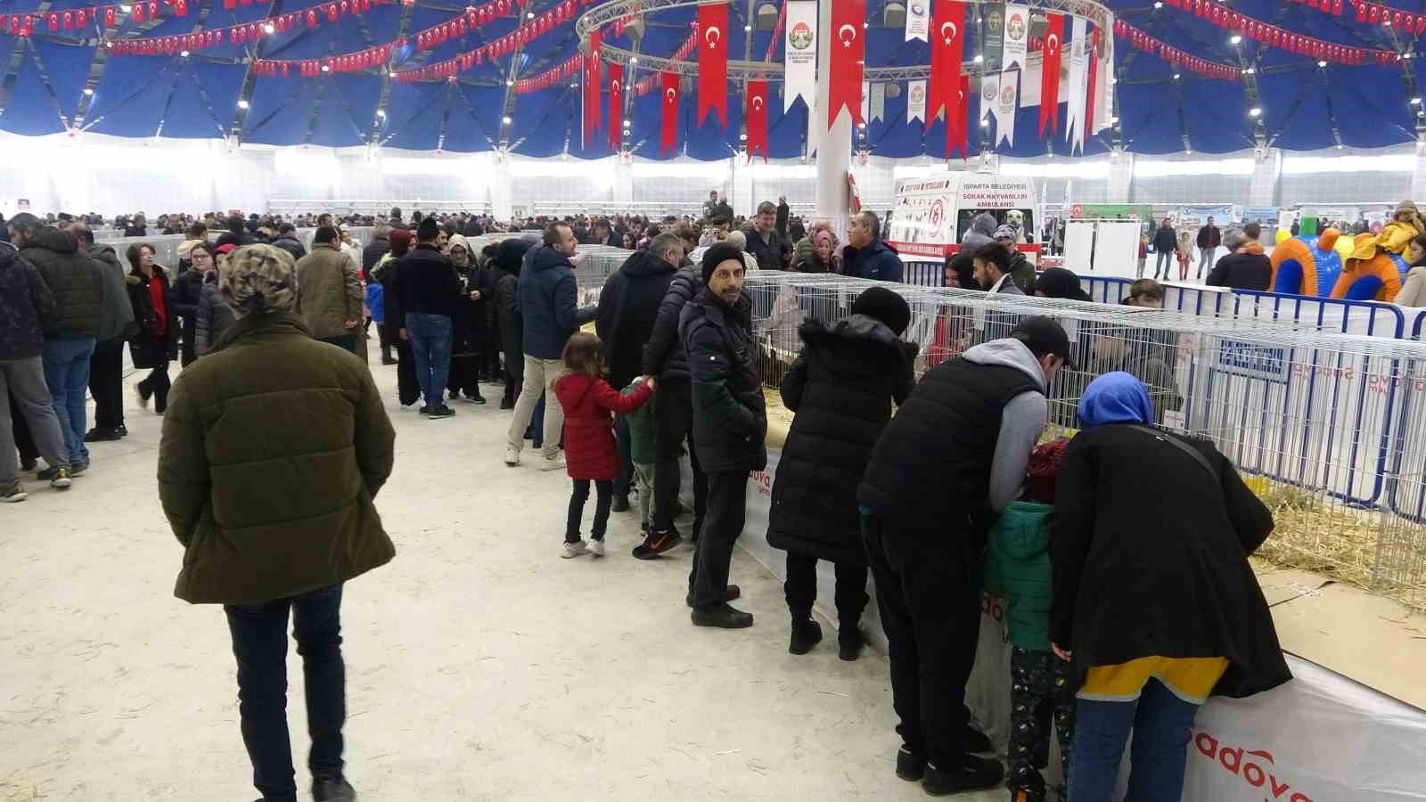 Bin 500'ün üzerinde süs tavuğu ve kanatlı hayvan görücüye çıktı