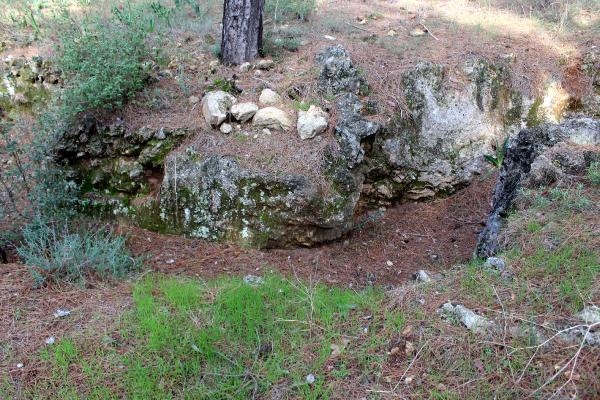 Antalya'da heyecanlandıran keşif
