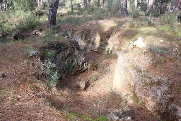 Antalya'da heyecanlandıran keşif
