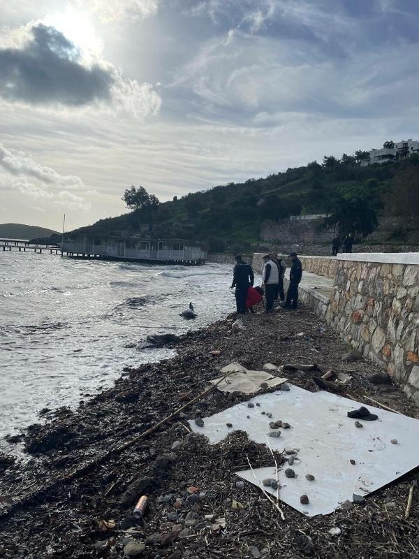Bodrum'da karaya vuran yunus öldü