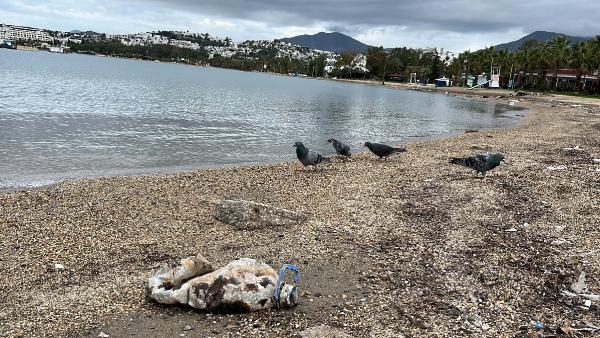 Bodrum'da sağanak sonrası sahiller çöple doldu