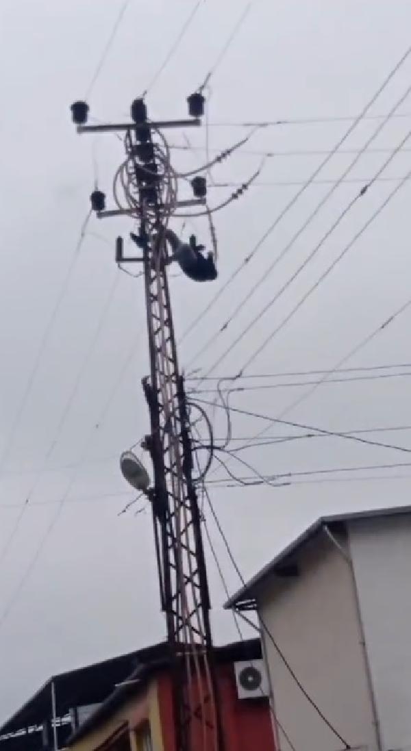 Çıktığı elektrik direğinde akıma kapıldı; ağır yaralandı