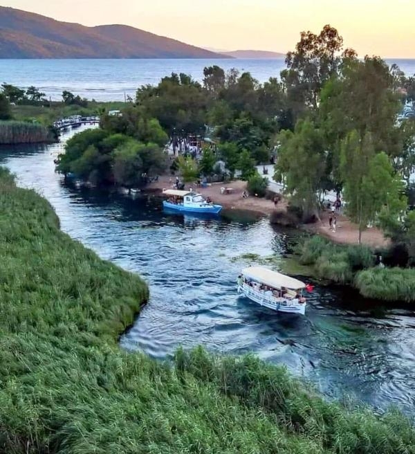 Deniz Kaplumbağaları Koruma ve İzleme Projesi raporunda 'sazlık kaybı' uyarısı