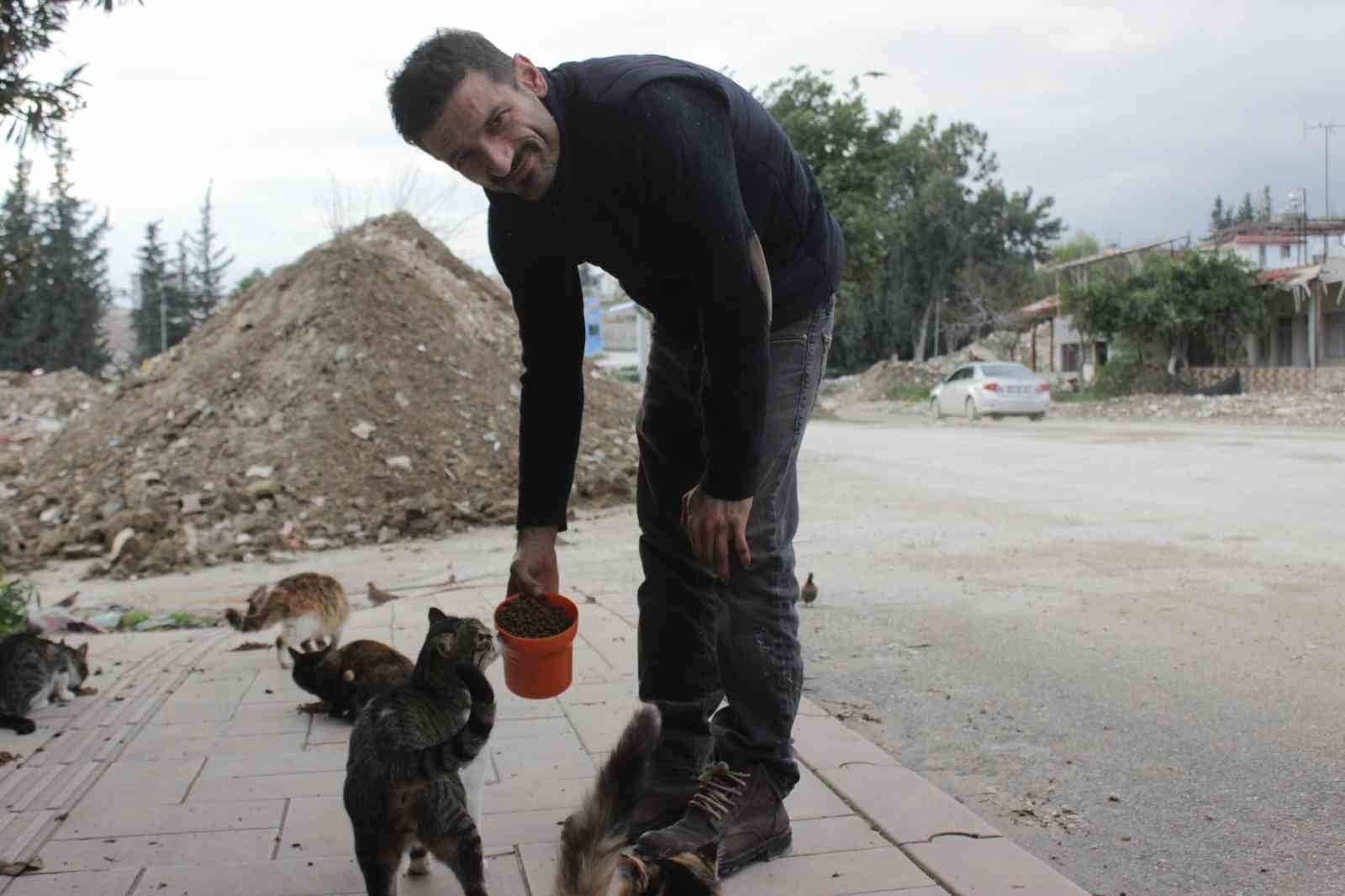 Enkaz kentin sokak hayvanlarına can oldu