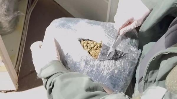 Eşya yüklü kamyonetteki buzdolabından 70 kilo skunk çıktı