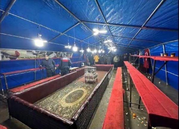 'Hayvanları Koruma Derneği'nde horoz dövüştüren 54 kişiye 346 bin TL ceza