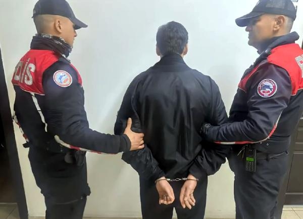 Kedilere eziyet eden ve örgüt propagandası yapan 'C31K' topluluğu üyesi 5 kişi tutuklandı