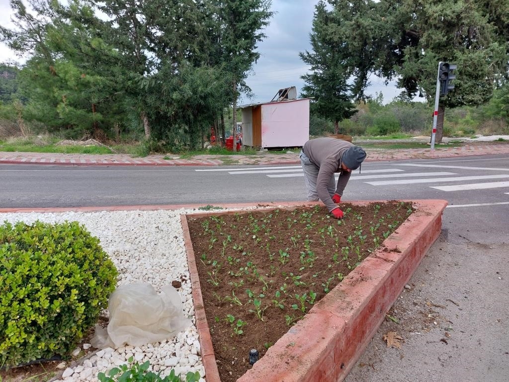 Kemer yeşil alan çalışmalarıyla yaz sezonuna hazırlanıyor