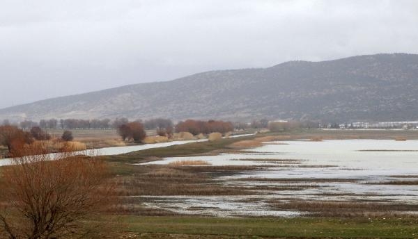 Kuruyan Avlan Gölü'nde sevindiren yağış