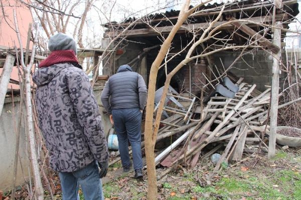 Mahallede kedi avlayan vaşak alarmı; yakalanması için kapan kuruldu