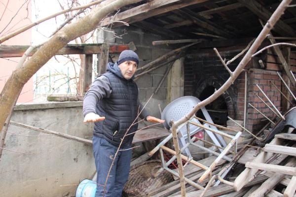 Mahallede kedi avlayan vaşak alarmı; yakalanması için kapan kuruldu