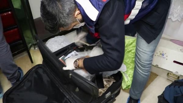 Mersin merkezli PKKYPG operasyonuna 2 tutuklama 