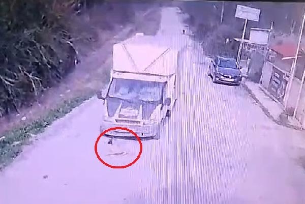 Mersin'de kamyonet, köpek 'Mutlu'ya çarptı; o anlar kamerada
