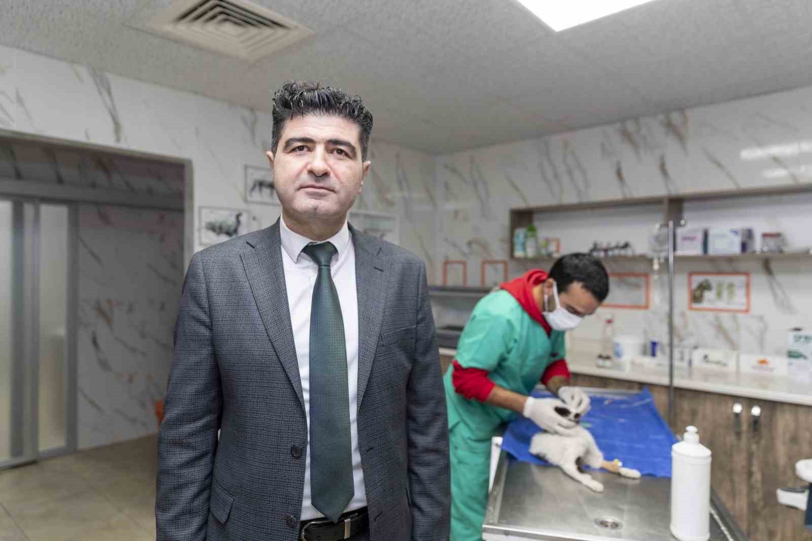 Mersin'de patili dostlar güvende