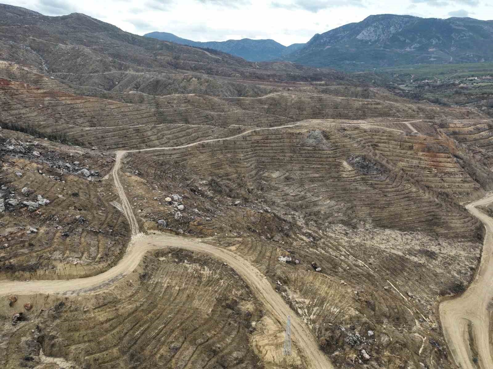 Mersin'de yanan orman sahasında ağaçlandırma çalışmaları tamamlandı