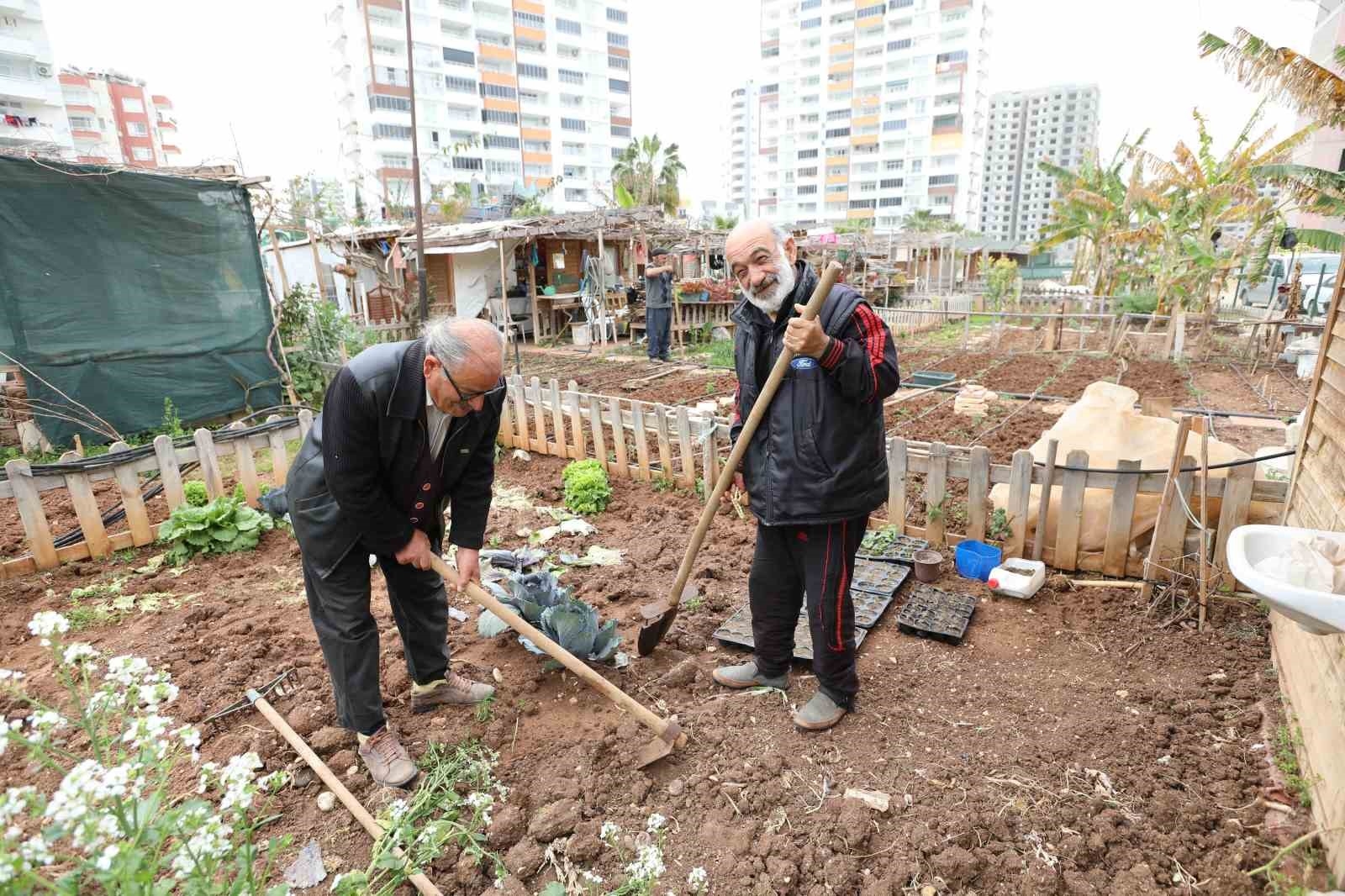 Mezitli'nin 'Hobi Bahçeleri'ne büyük ilgi