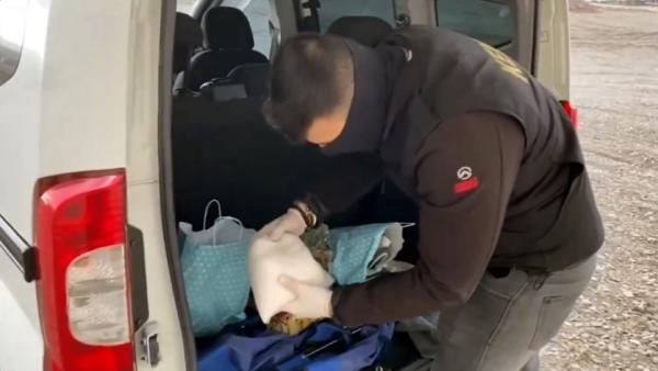 'Narkogüç-43' operasyonlarında 305 şüpheli yakalandı
