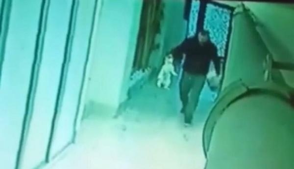 Sokaktan topladığı 4 kediyi öldürüp, apartmanın bahçesine atmış