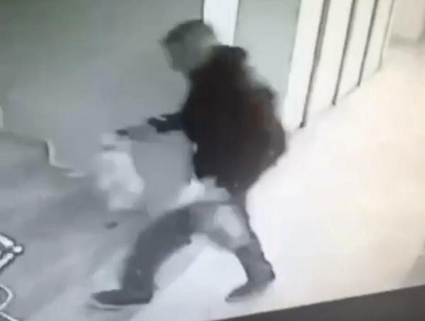 Sokaktan topladığı 4 kediyi öldürüp, apartmanın bahçesine atmış