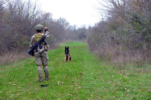 TSK'nın 'kahraman köpekleri', önce parkurda sonra arazide eğitiliyor