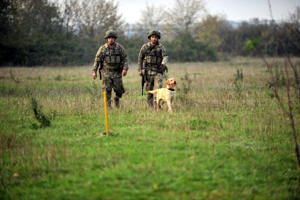 TSK'nın 'kahraman köpekleri', önce parkurda sonra arazide eğitiliyor