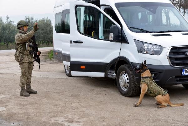 TSK'nın 'kahraman köpekleri', önce parkurda sonra arazide eğitiliyor