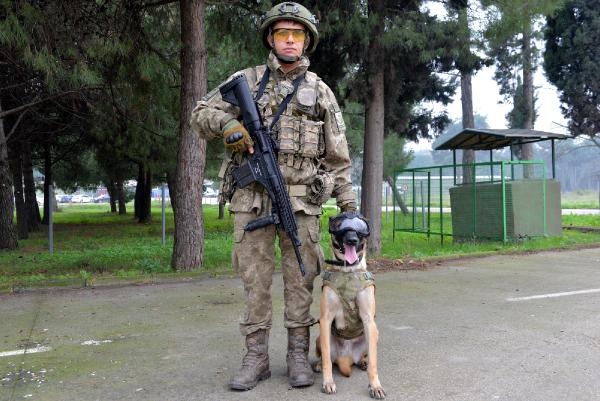 TSK'nın 'kahraman köpekleri', önce parkurda sonra arazide eğitiliyor