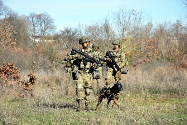 TSK'nın 'kahraman köpekleri', önce parkurda sonra arazide eğitiliyor