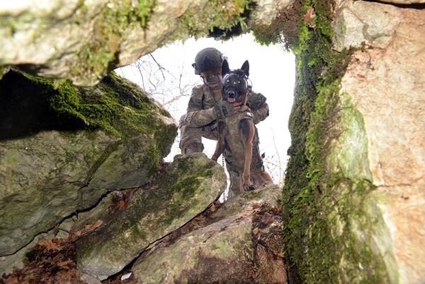 TSK'nın 'kahraman köpekleri', önce parkurda sonra arazide eğitiliyor