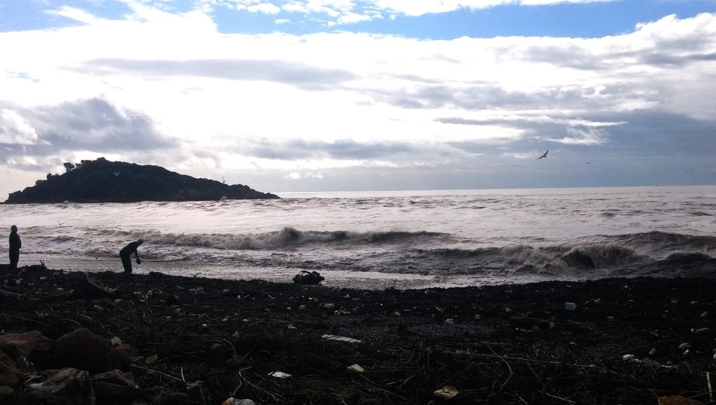 Yağmur suyu denizi kahverengiye çevirdi