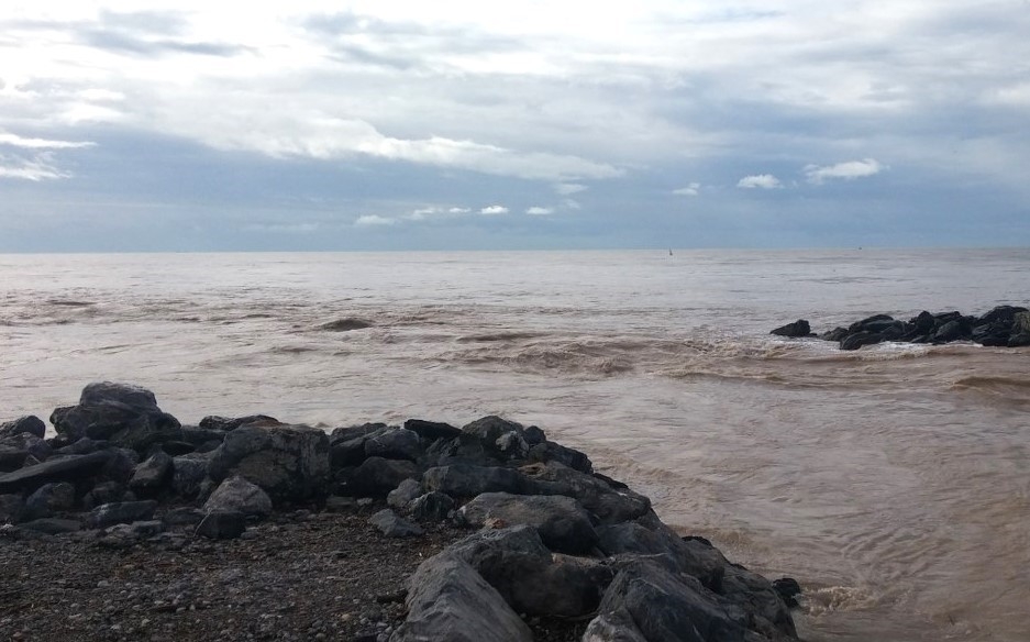 Yağmur suyu denizi kahverengiye çevirdi