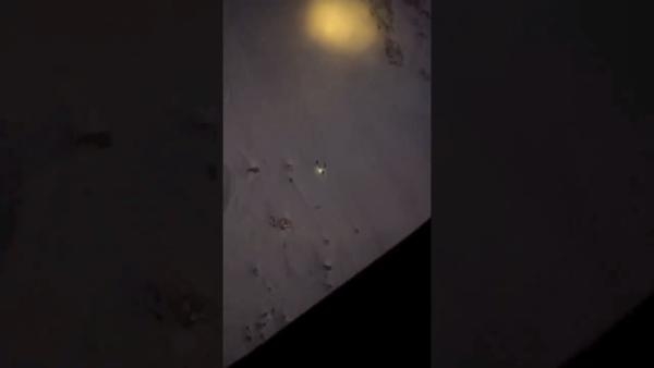 Yaralanan dağcı, helikopterle kurtarıldı