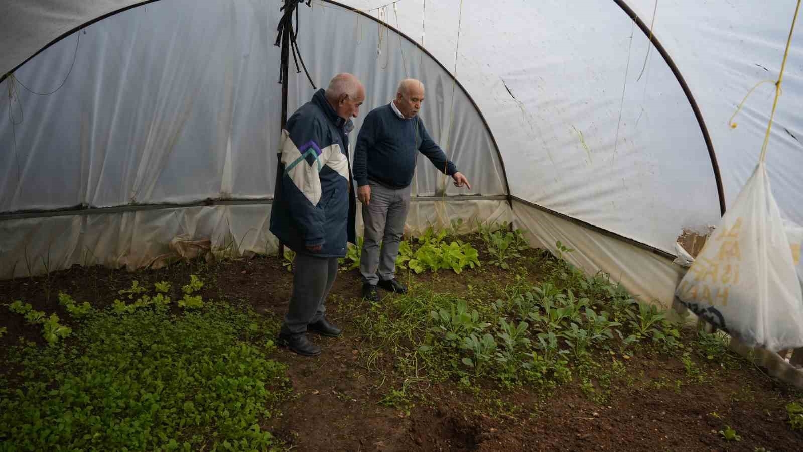 Yaşlı öğrenciler mezun olmak istemeyince, çözüm yüksek lisansta bulundu